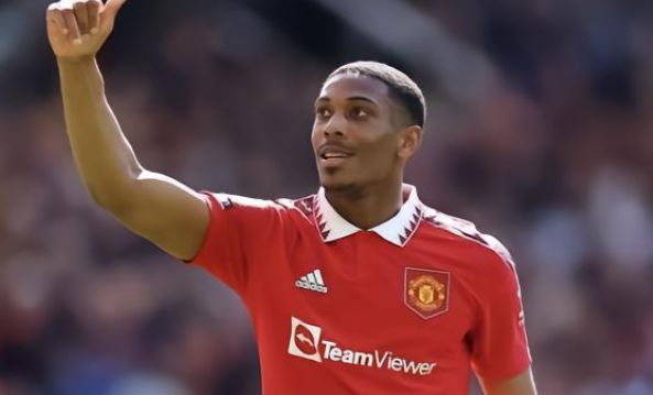 的双重学习 的双重学习